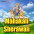 Vijay Sonkar
