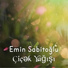 Emin Sabitoğlu