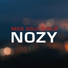 Nozy