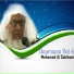 Mohamed Al Sahibani
