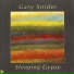 Gary Snider