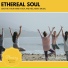 Trinity Meditationn Club