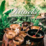 Naturel relaxation ambiance