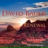 David Bauer
