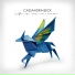 Cassandra Beck, Scubba