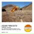 Adam Firegate