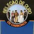 Os Carbonos