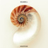 Seashell