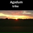 Agadum