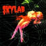 Rogério Skylab