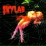 Rogério Skylab