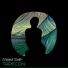 Majed Salih