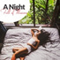 Trouble Sleeping Music Universe