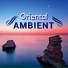 Oriental Music Collective