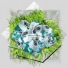 tropical interface