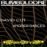 David Cut