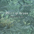 Phillip Gross