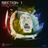 Section 1