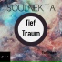 Soulnekta