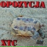 Opozycja