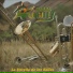 Banda Maguey