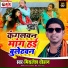 Mithlesh Chauhan