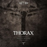 Thorax