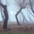 Tingvall Trio (Norr 2008)