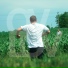 Ovlov