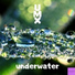 UMX