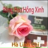 Hà Linh Chi