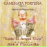 Camerata Porteña, Marcelo Rodríguez Scilla