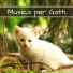 Gatto Miao