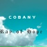 Cobany