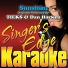 Singer's Edge Karaoke