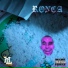 Robb T