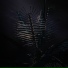 Dark and Bass