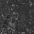 zero.1