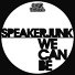 Speaker Junk