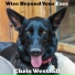 Chris Westfall