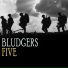 Bludgers