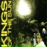 The King Of The Sun