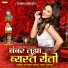 Vikas Salve
