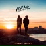 Vigiland Friday