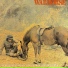 Warhorse
