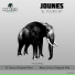 Jounes