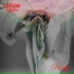 U-Men Touch