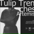 Tulip Trenches