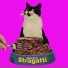 Stragatti