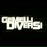 Gemelli Diversi